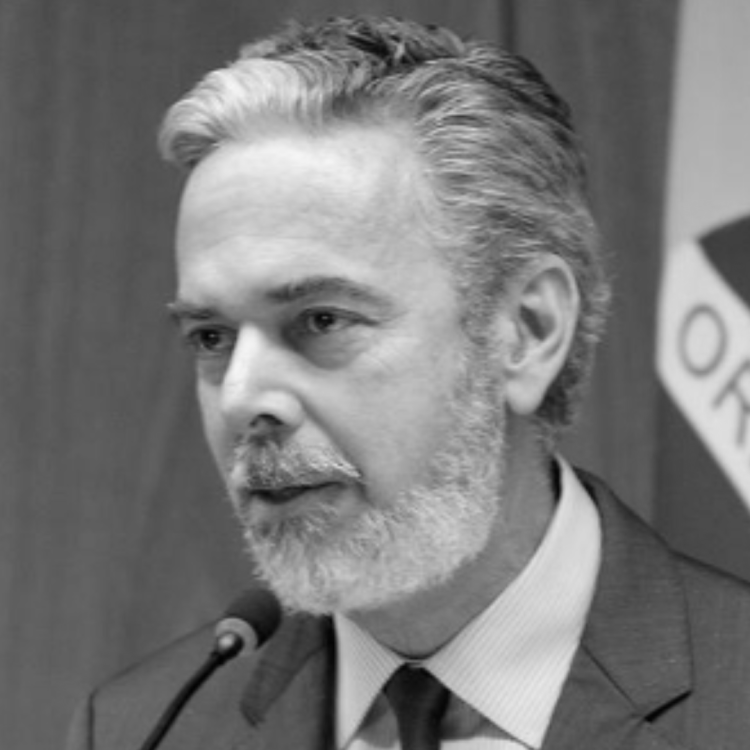 Antonio Patriota